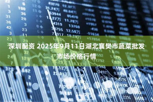 深圳配资 2025年9月11日湖北襄樊市蔬菜批发市场价格行情