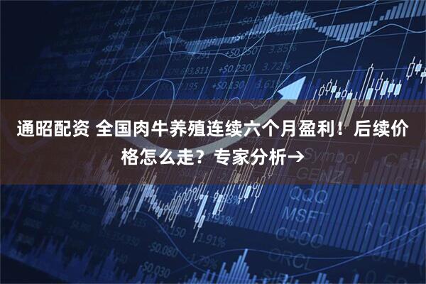 通昭配资 全国肉牛养殖连续六个月盈利！后续价格怎么走？专家分析→