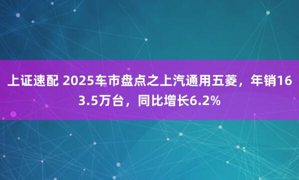 上证速配 2025车市盘点之上汽通用五菱，年销163.5万台，同比增长6.2%